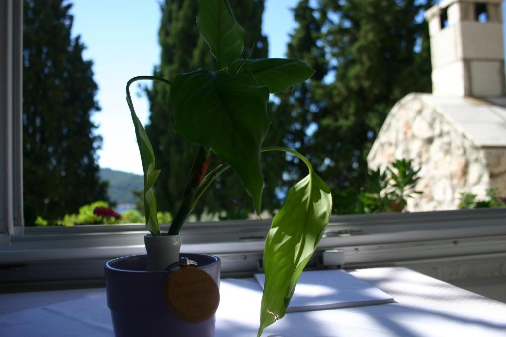 Apartments Dubrovnik Center Pokój zdjęcie